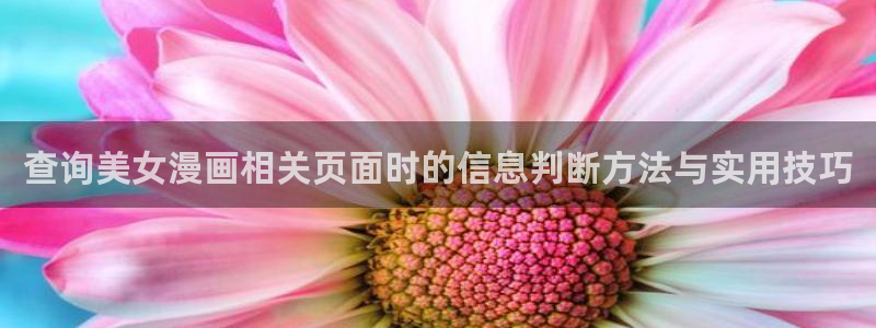 羞羞漫画网站最新地址:查询美女漫画相关页面时的信息判断方法与实用技巧