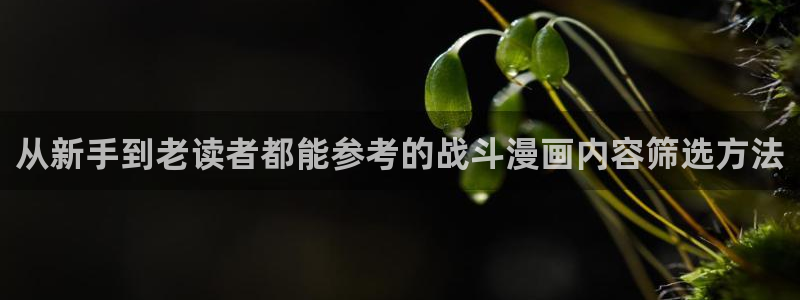羞羞漫画漫画阅读入口:从新手到老读者都能参考的战斗漫画内容筛选方法